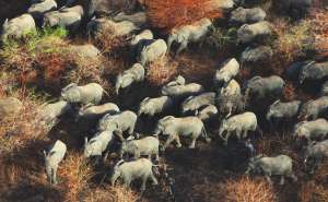 stvarnik_in_preizkus_resnice